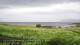 Laukvik 15.06.2025 09:52