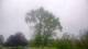 Harriman, New York 08.06.2025 09:51
