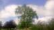 Harriman, New York 15.07.2025 09:51