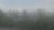 New Haven, Connecticut 24.05.2025 09:52