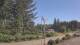 Wishkah, Washington 11.07.2025 09:55