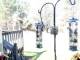 Central Lake, Michigan 08.05.2025 10:52