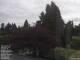 Son en Breugel 15.06.2025 10:46