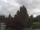 Son en Breugel 11.07.2025 10:46