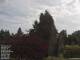 Son en Breugel 21.06.2025 10:46