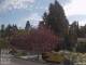 Son en Breugel 25.03.2025 10:46