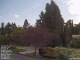 Son en Breugel 29.04.2025 10:46