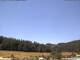 Neuenhof im Aargau 01.07.2025 10:52