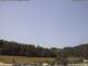Neuenhof im Aargau 09.06.2025 10:52