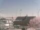 Suthfeld 23.04.2025 10:52