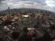 Guadalajara 14.06.2025 10:52