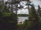 Hoel Pond, New York 10.07.2025 10:52