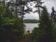 Hoel Pond, New York 14.07.2025 10:58