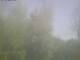 Ittigen 30.04.2025 10:46