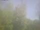 Ittigen 30.04.2025 10:46