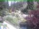 Ruhla 14.06.2025 10:53