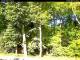 Hilversum 30.04.2025 10:54
