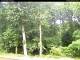 Hilversum 05.06.2025 10:54