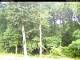 Hilversum 09.06.2025 10:54