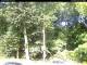Hilversum 15.06.2025 10:53
