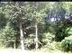 Hilversum 15.06.2025 10:53