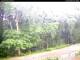Hilversum 09.06.2025 10:54
