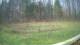 Tustin, Michigan 29.04.2025 10:54