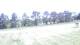 Pittsburg, Illinois 23.04.2025 10:59