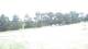 Pittsburg, Illinois 14.07.2025 10:59