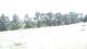 Pittsburg, Illinois 03.07.2025 10:59