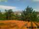 Pallini 30.04.2025 10:54