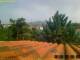 Pallini 17.03.2025 10:54