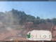 Soave 07.07.2025 10:54