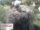Aurach 30.04.2025 10:54