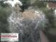 Aurach 02.07.2025 10:54