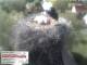 Aurach 08.05.2025 10:54
