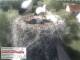 Aurach 15.06.2025 10:54