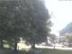 Bayrischzell 20.06.2025 10:46