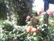 Cuxhaven 03.07.2025 10:54