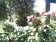Cuxhaven 14.06.2025 10:54