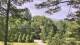 Swanton, Maryland 09.06.2025 10:03