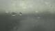 Monroe, Michigan 30.04.2025 10:06