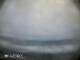Ribeira Grande (Azzorre) 29.04.2025 10:55