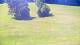 Gap 08.07.2025 10:56