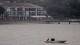 Andernos-les-Bains 13.07.2025 10:06