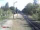 Wernigerode 09.05.2025 10:46