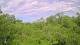 Metairie, Louisiana 30.04.2025 10:09