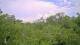 Metairie, Louisiana 08.06.2025 10:09