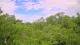 Metairie, Louisiana 11.05.2025 10:09