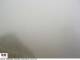 Volcan Turrialba 29.04.2025 10:57